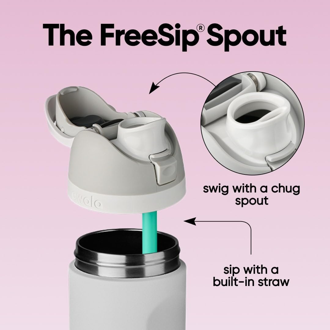 Owala FreeSip Stainless Steel Water Bottle 24 oz Dreamy Field