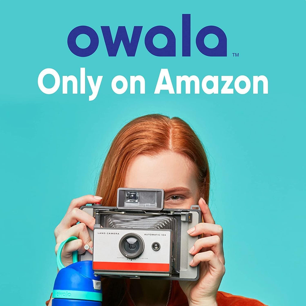 Owala FreeSip Stainless Steel Water Bottle 24 oz Dreamy Field